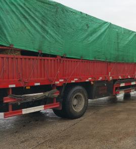 2米白皮松发往天津