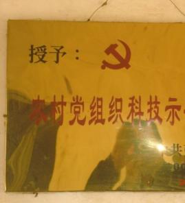 白皮松苗木基地证书